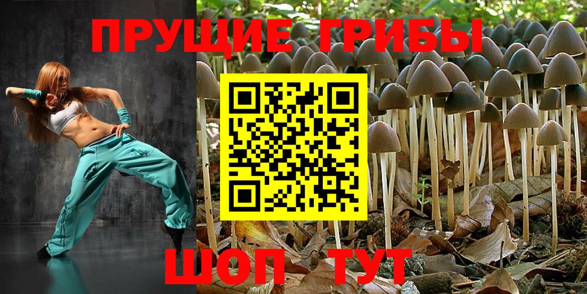 Псилоцибиновые грибы GOLDEN TEACHER Кисловодск