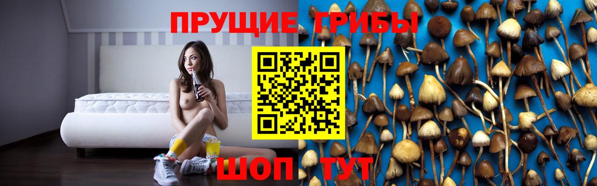 Псилоцибиновые грибы мицелий  Вход с VPN  Кисловодск 